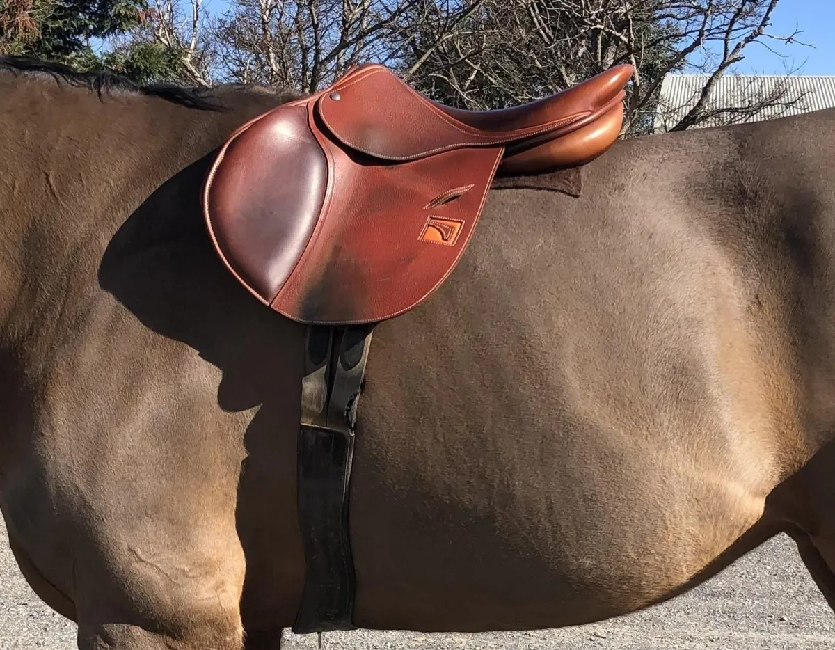 saddle fit on horse