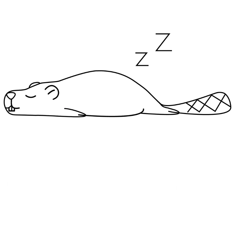 The Dam* Dam House