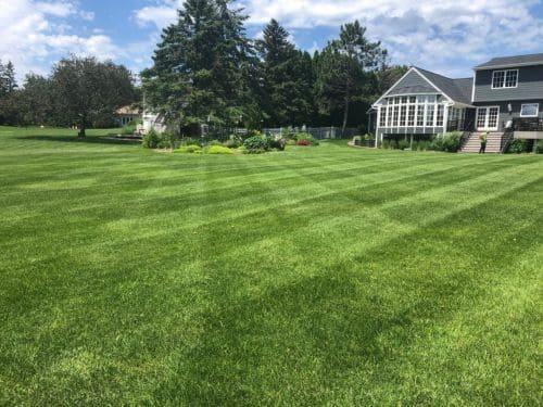 Commercial Lawn Care Woodbury