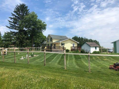 Lawn Mowing & Maintenance Woodbury