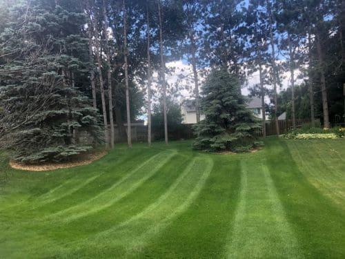 Fall Cleanup & Leaf Removal Woodbury