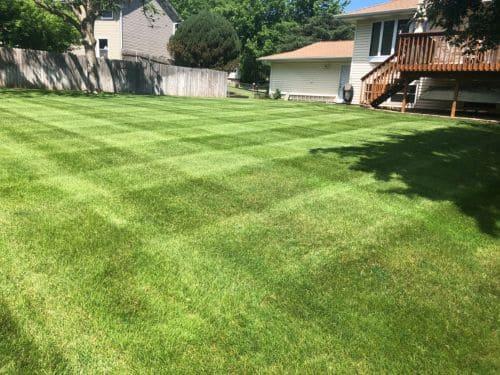 Lawn Fertilization Woodbury