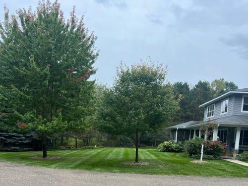 Spring Cleanup Woodbury