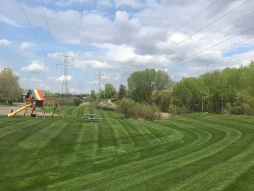 Core Aeration Woodbury