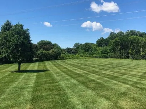 Commercial Snow Removal Woodbury