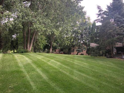 Spring Cleanup Woodbury