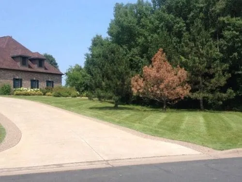 Lawn Fertilization Woodbury