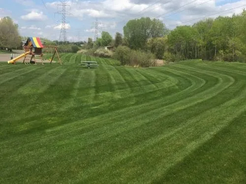 Commercial Lawn Care