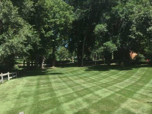 Cottage Grove Commercial Lawn Care