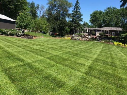 Lawn Mowing & Maintenance