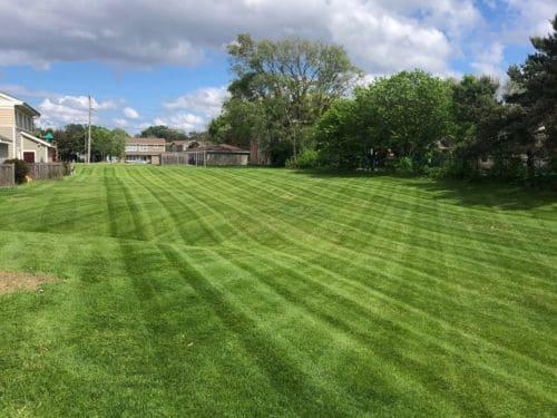 Cottage Grove Lawn Mowing & Maintenance