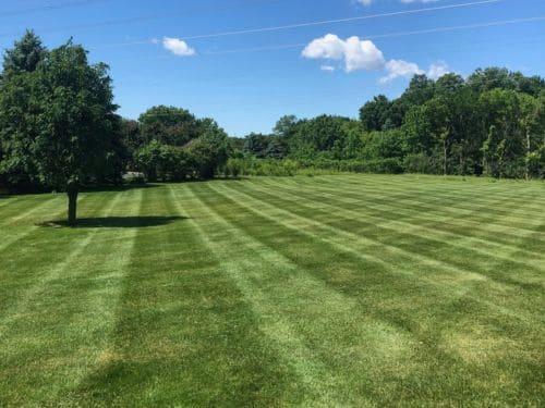  Lawn Mowing & Maintenance