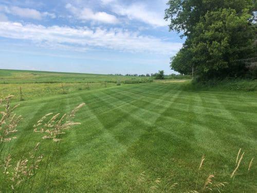 Lawn Mowing & Maintenance