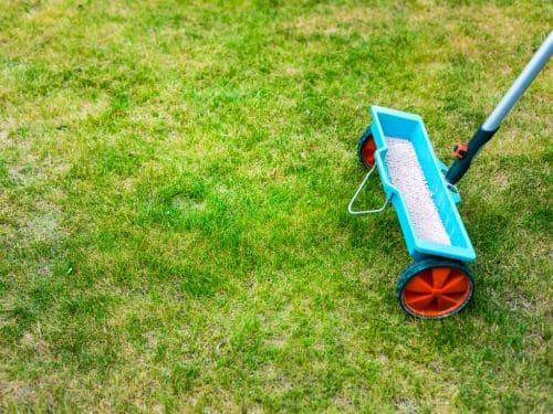Lawn Mowing & Maintenance