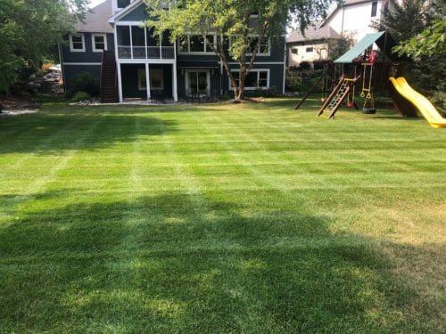  Lawn Mowing & Maintenance