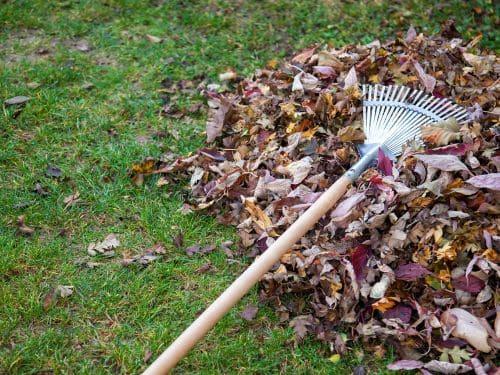 Lawn Mowing & Maintenance