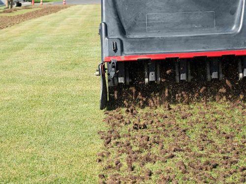 Core Aeration in Woodbury