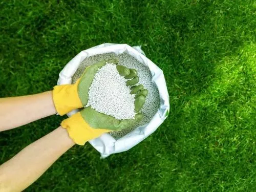Lawn Fertilization in Woodbury