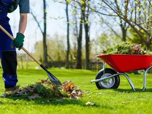 Spring Cleanup in Woodbury