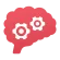 brain