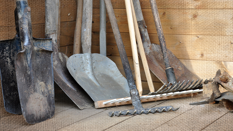 Your March Garden Checklist: 8 Things to Do Before Spring Hits