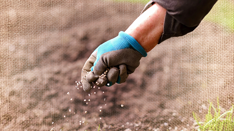 Feed Your Soil and It Will Feed You: A Practical Guide to Soil Amendments