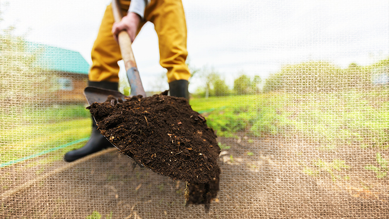 Dig Deeper: What's in Your Soil (And What It's Missing)