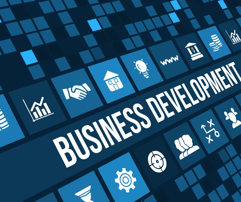 Business Development Services