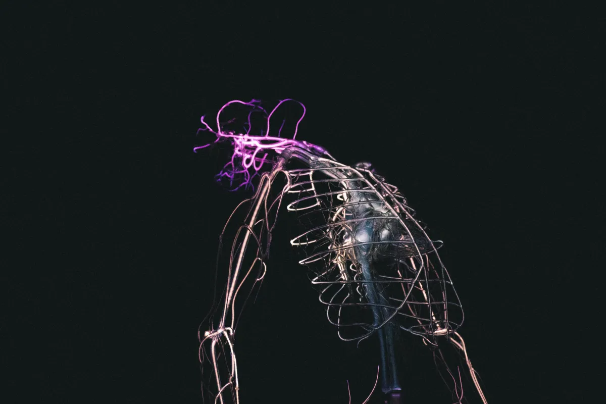Vagus Nerve and Digestion: Natural Ways to Support Vagal Tone