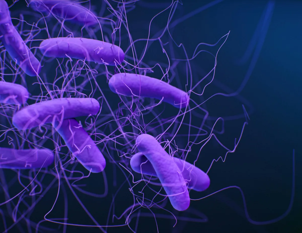 gut dysbiosis