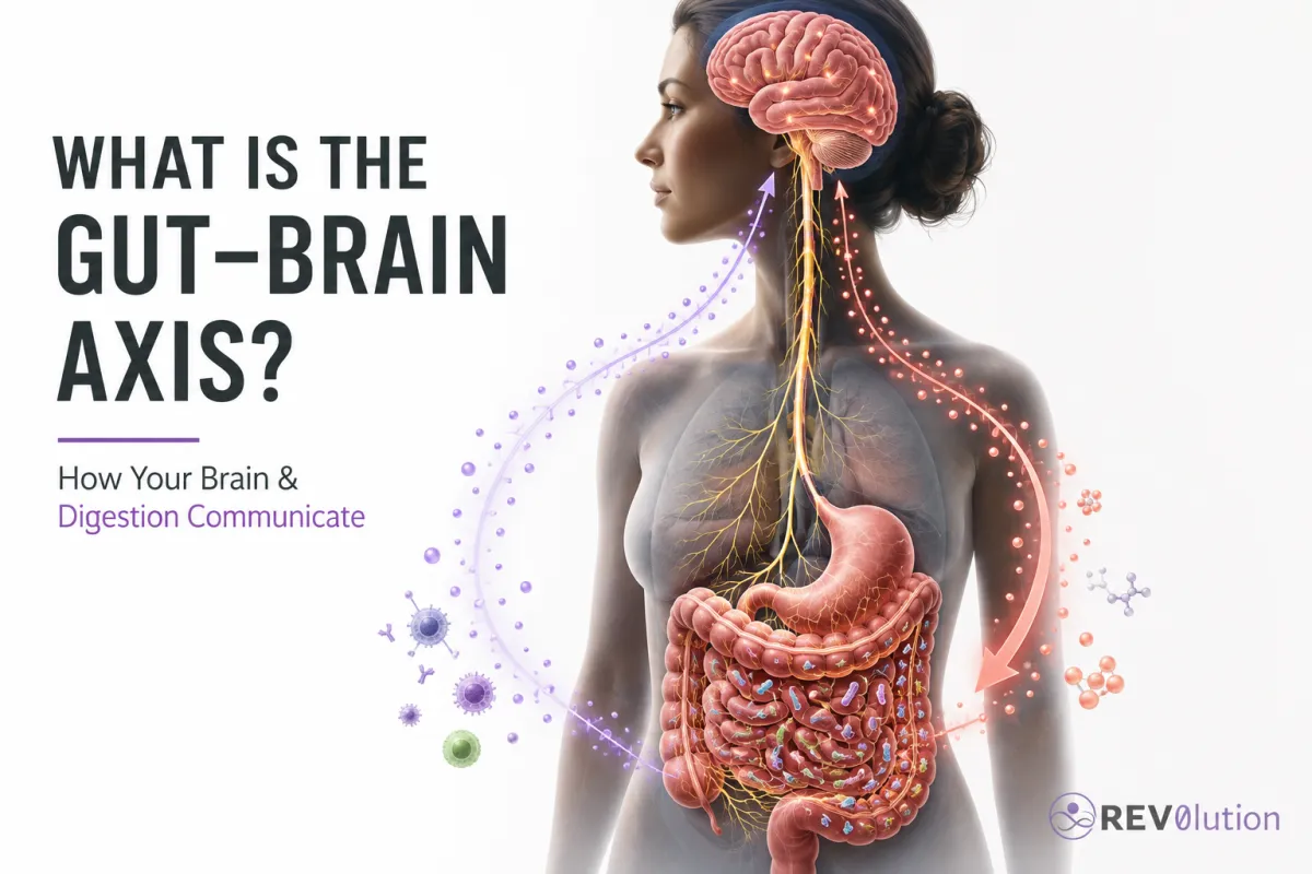 Gut0Brain Axis