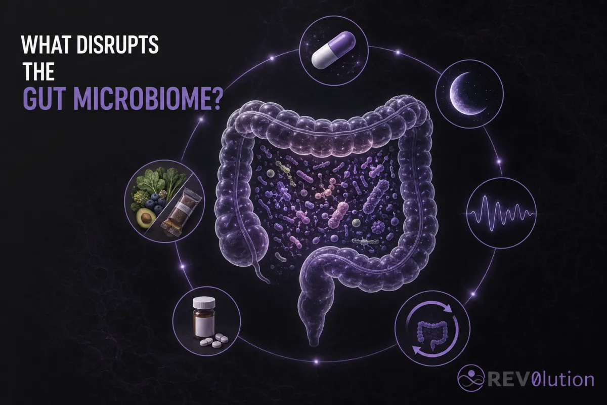 Gut Microbiome Disruptions