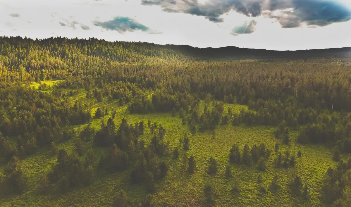 Done technology, capture stunning images from above
