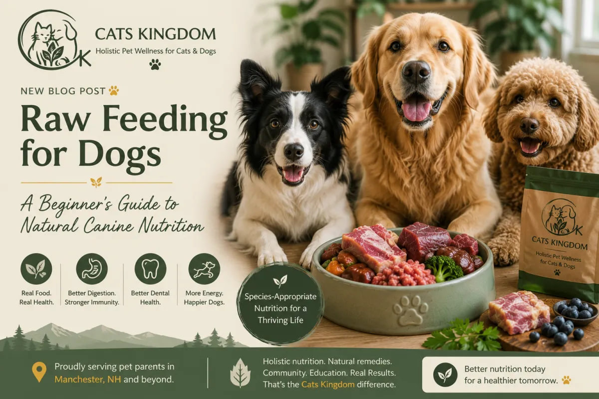10 Signs Your Dog’s Diet May Be Causing Health Problems