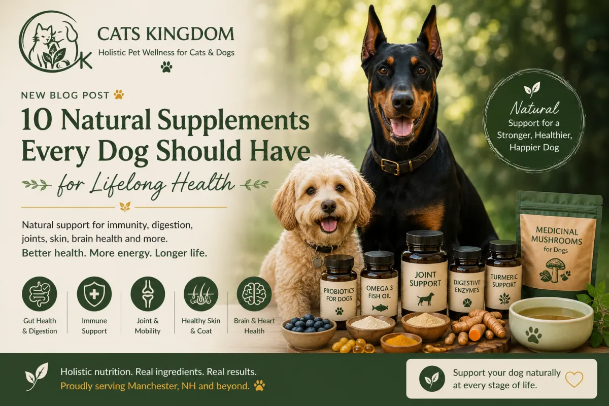 10 Natural Supplements Every Dog Should Have for Lifelong Health