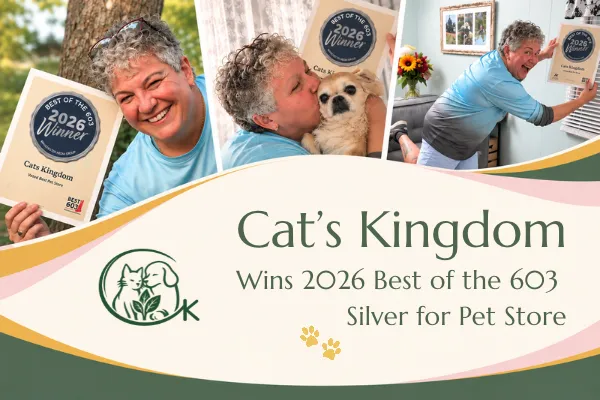 Best Pet Store in NH: Cat’s Kingdom Wins Best of the 603 Silver