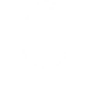 The Savvy Podcast Icon