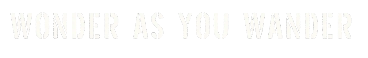 Wonder as you wander