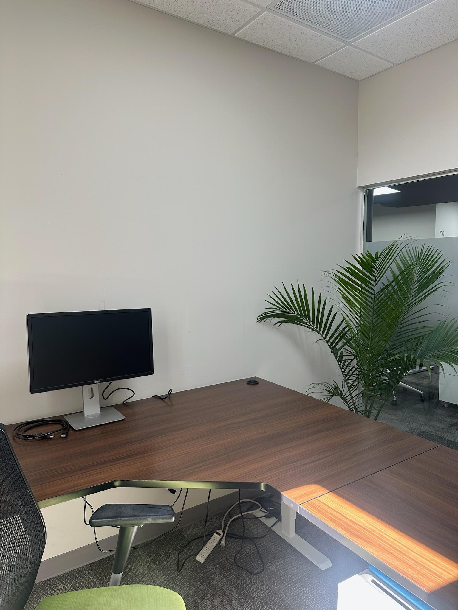 Co-working Office for Rent