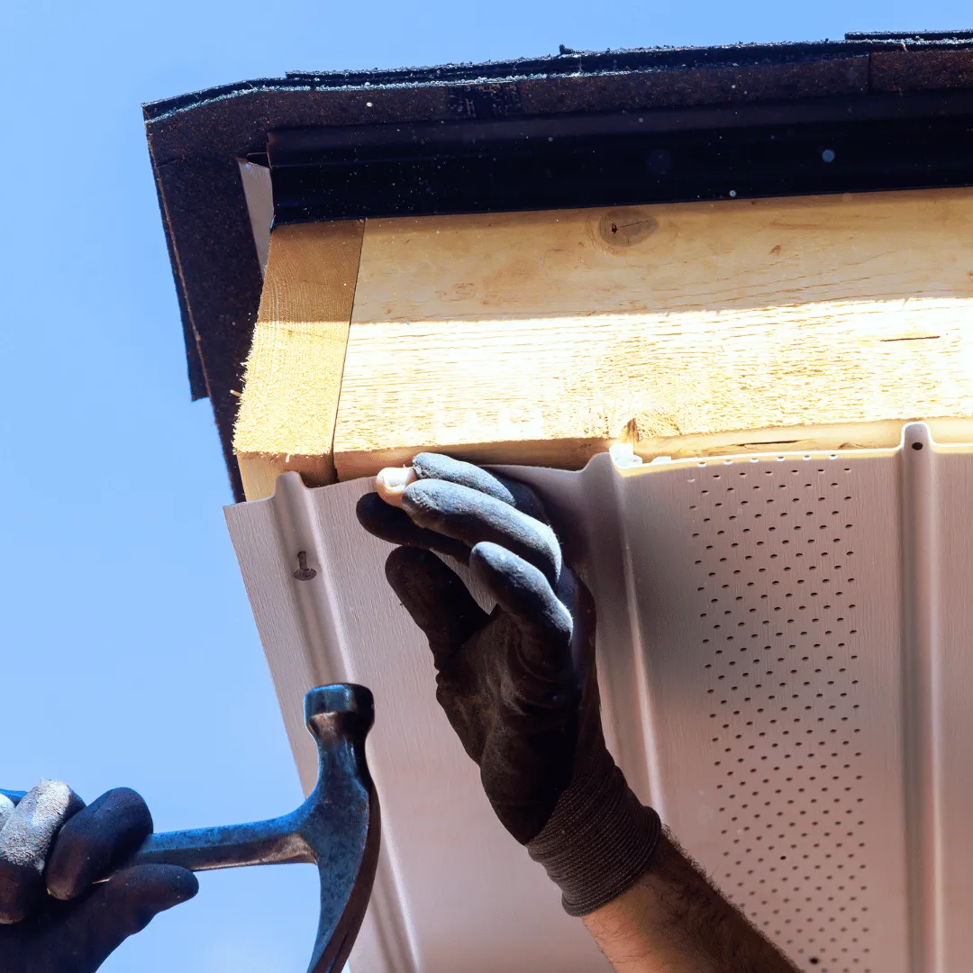 wildlife exclusion binghamton ny, animal proofing binghamton ny, wildlife control binghamton ny, bat guano clean out binghamton ny, fecal matter clean out binghamton ny, insulation replacement binghamton ny, animal exclusion binghamton ny