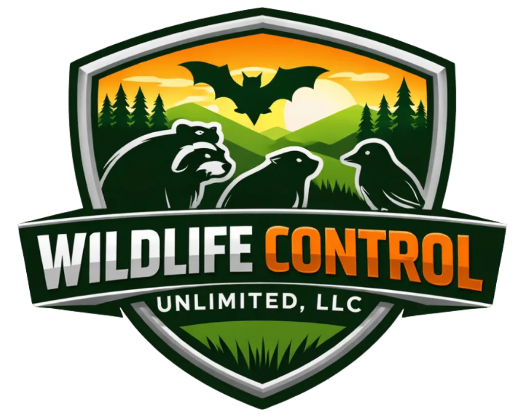 wildlife control vestal ny, animal removal vestal ny, bat removal vestal ny, raccoon removal vestal ny, squirrel removal vestal ny, wildlife removal broome county ny, nuisance wildlife control vestal