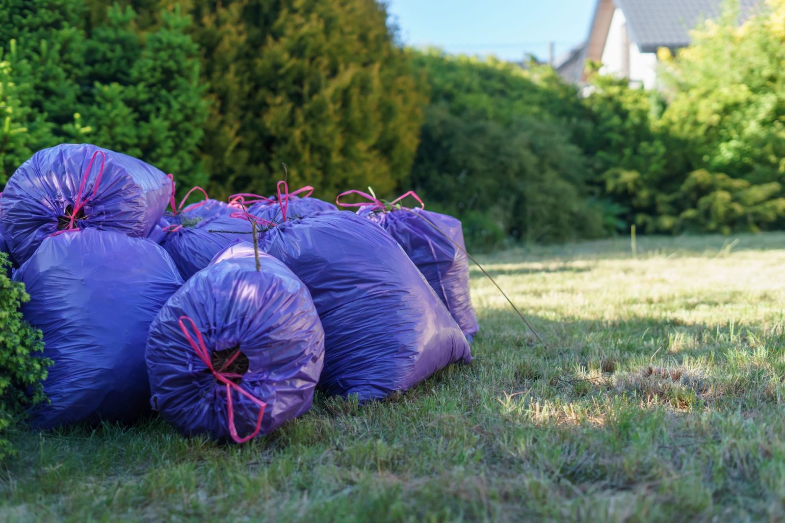 Property Cleanup in Evansville