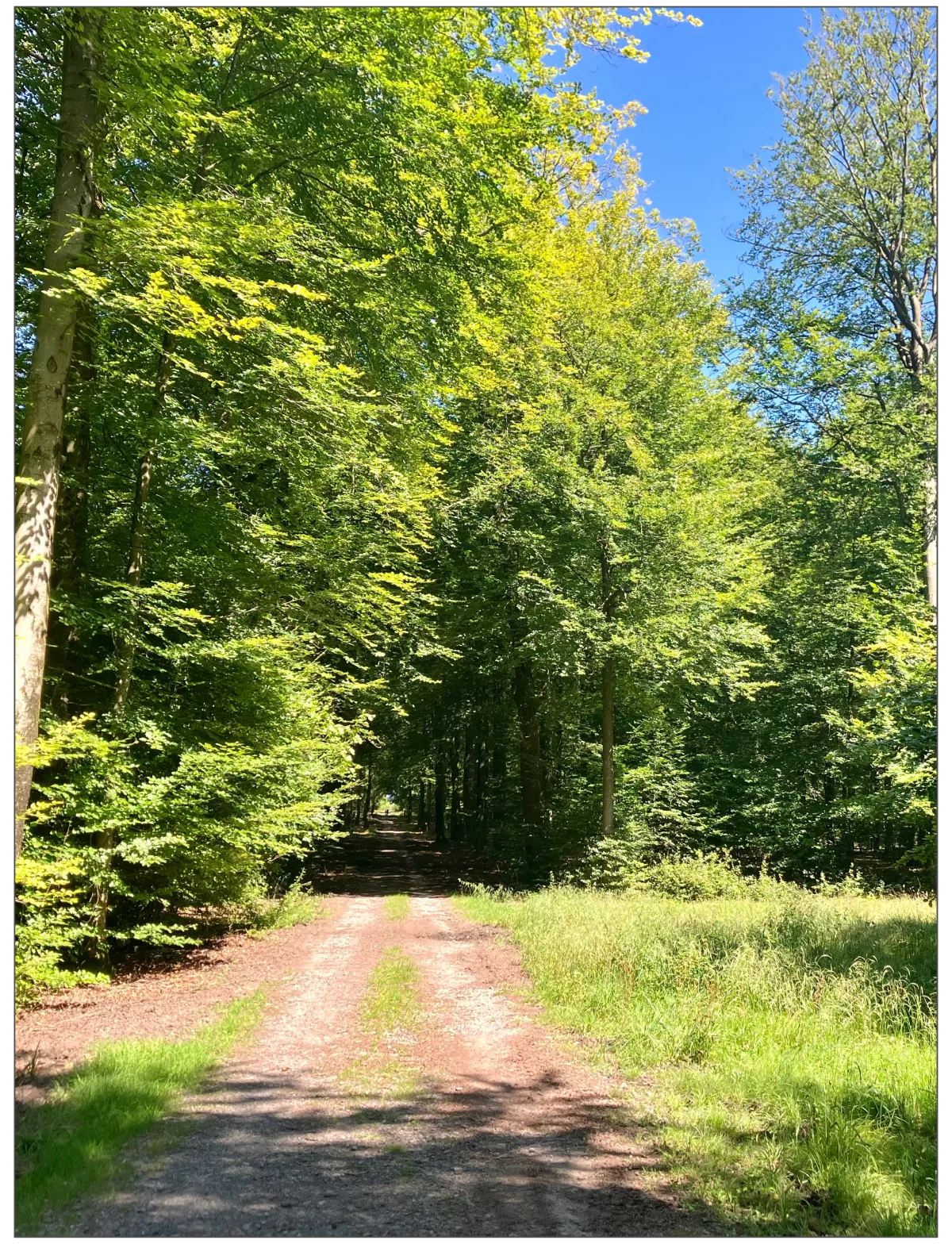 Jeûne et randonnée Ardennes