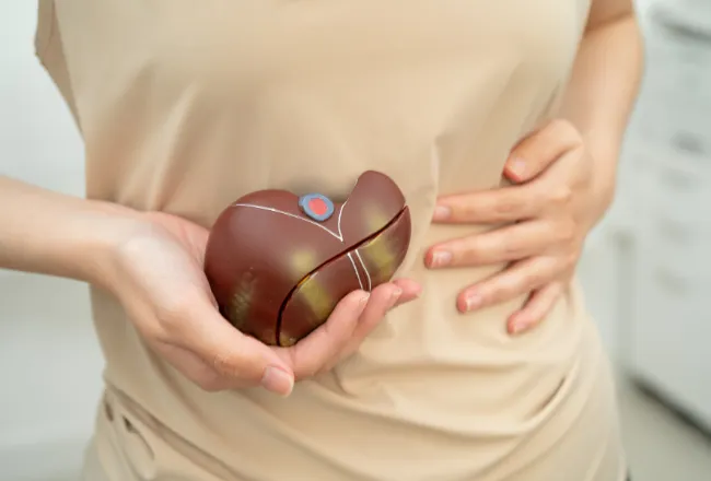 Femme tenant un foie symbolique, illustrant le nettoyage et la détoxification naturelle du foie au printemps pour soutenir la santé et la vitalité.