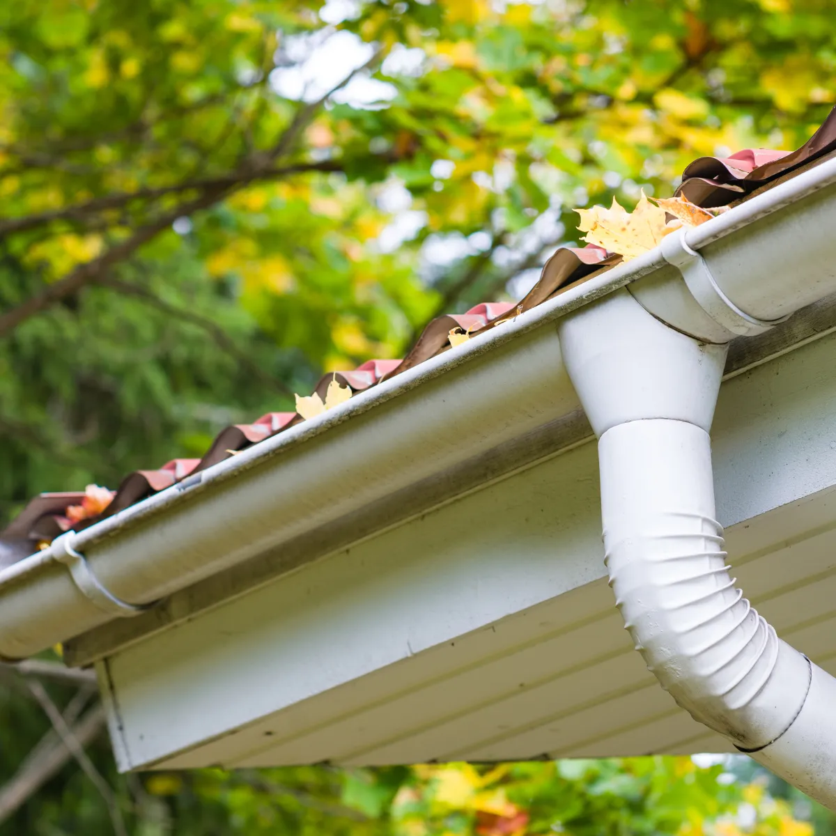 gutter cleaning in new braunfels tx