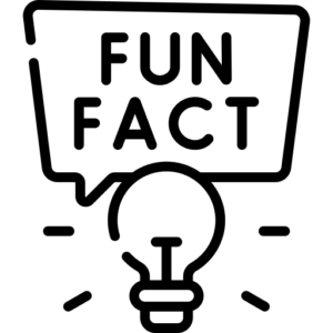 Fun Fact