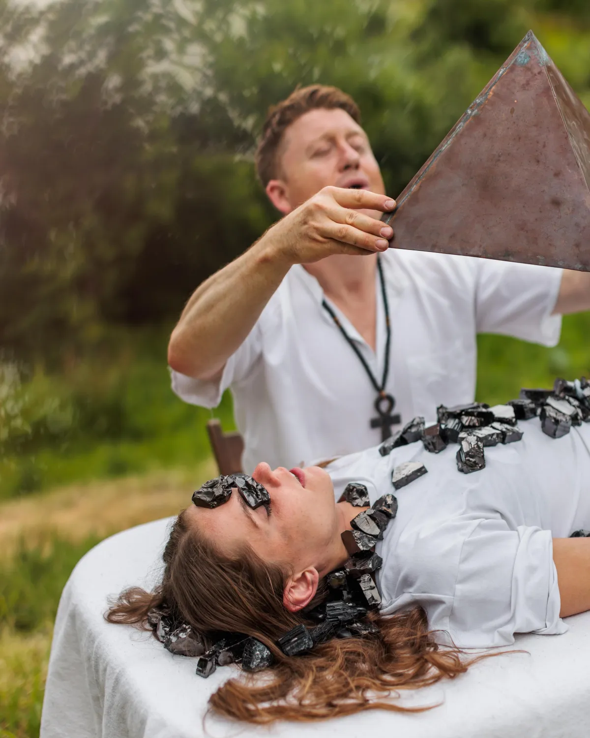 A close up of a plant with frost on it