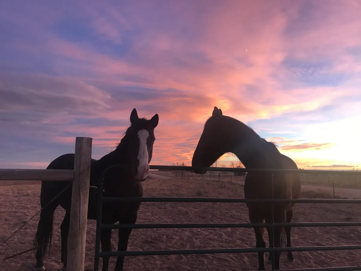 Colorado Springs Horse Property For Sale