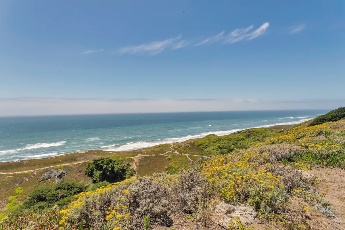 The green bluff above the Pacific beside Ocean View Stables in Daly City
