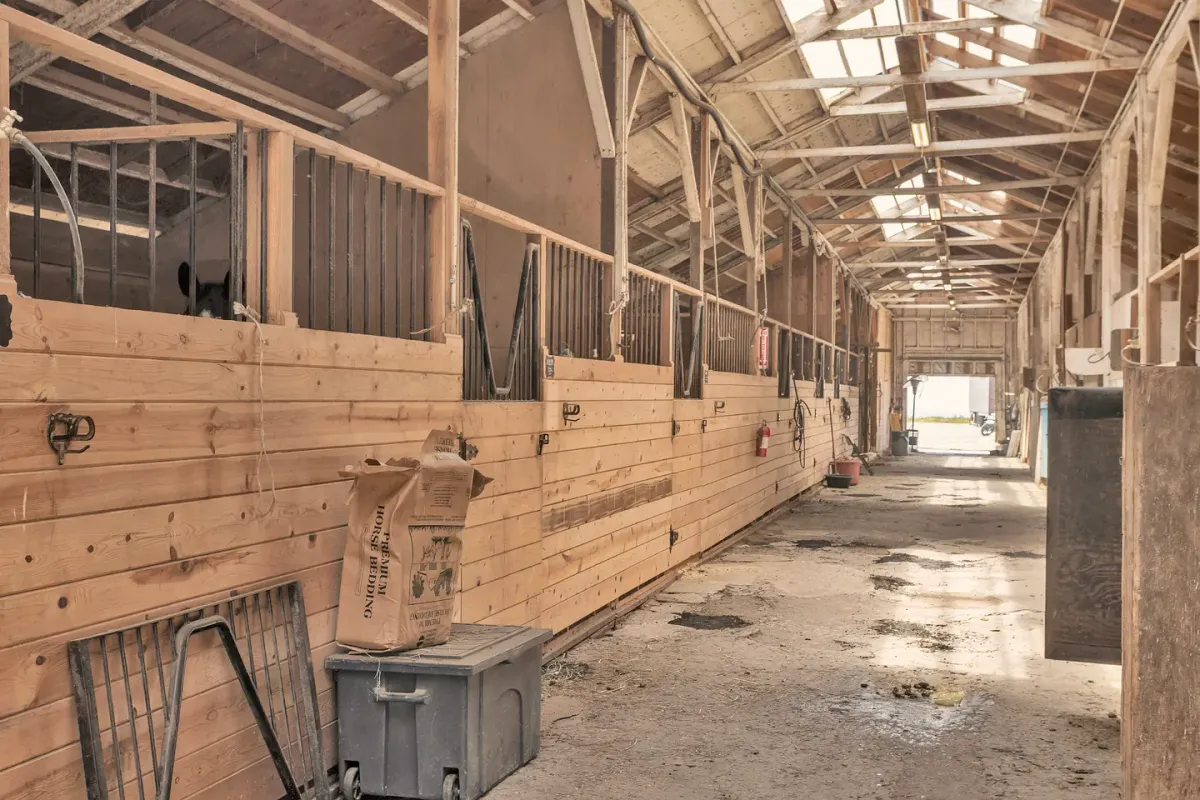 An empty, sunlit barn aisle at Ocean View Stables